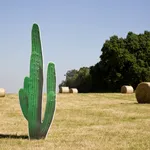 Marco Walker, Cactus, La Piscina Series , 2019