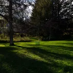 Rachel Valdes, Blue Square, Vermont, USA, 2013