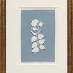 Philipp Otto Runge, Rose, cut out, c. 1800