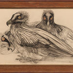 Theo van Hoytema, bearded vultures