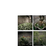 Hai Zhang, Harlem, Feb 15, 2019, Feb 15,