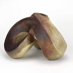 Jerilyn Virden, Twisted Rectangle