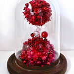 Amy Gross, Viridi Noctu