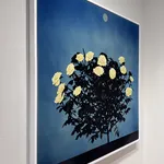 John Littleton + Kate Vogel, Where Lilies Dream