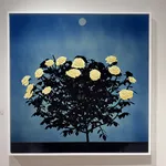 John Littleton + Kate Vogel, Where Lilies Dream