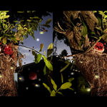 Amy Gross, Viridi Noctu