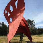 Roman Opalka, Infini Détail 1627999-1631391, 1965