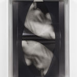 Sheree Hovsepian, Peaking, 2015