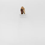 Maia Cruz Palileo, After Wandering For Much Time, 2023