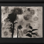 Carrie Schneider, Sleeper Awake, 2009