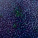 Kajahl, Iceberg Entity II (Glacial Fracture Head), 2022