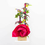 Thumbnail of additional image