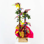 Thumbnail of additional image