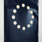 Rachelle Reichert, Wildfire, 2024