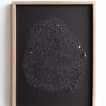 Yvonne Mouser, Subsiding Shelf