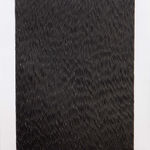 Zaida Oenema, Field (Shadows) #3, 2020