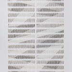 Zaida Oenema, Field (Shadows) #3, 2020