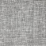 Jane Springwater, Light Field, 2024