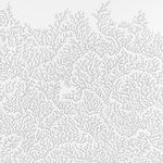 Jane Springwater, Light Field, 2024