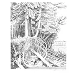 Madeleine Bialke, Out Look I, 2017