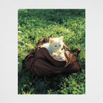 Torbjørn Rødland, Boy, 2000