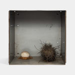 Kenzi Shiokava, Untitled, 1969