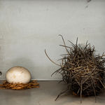 Kenzi Shiokava, Untitled, 1969