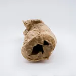 Keita Matsunaga, cocoon, 2021