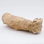 Keita Matsunaga, cocoon, 2021