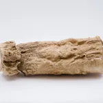 Keita Matsunaga, cocoon, 2021