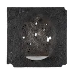 Anthony Leenders, fossil fishing, 2025