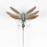 Anthony Leenders, fossil fishing, 2025