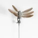 Anthony Leenders, fossil fishing, 2025