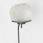 Anthony Leenders, fossil fishing, 2025