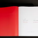 Sandro Miller, Yousuf Karsh / Winston Churchill (1941), 2017