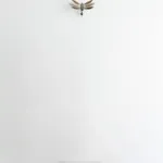 Anthony Leenders, fossil fishing, 2025