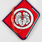 Claire Healy & Sean Cordeiro, Origami Aeroplane, 2011