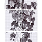 Neva Hosking, Michael's Bathtub, 2024