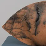 Adebunmi Gbadebo, Blowing Through My Ears?, 2025