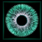 NagyMolnar, Space Net 1, 2021