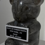 WhIsBe, WASA - WhIsBe Aeronautics and Space Administration, 2025