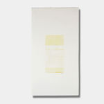 Aurelie NEMOURS, Option avec blanc , 2000