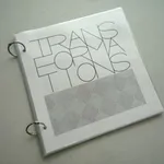 Vera MOLNAR, Transformations, étanche, 2010