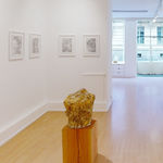 Shizuko YOSHIKAWA, Luce caldo e moderato, 2002