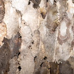 Helen Britton, Cranky Purple Seahorse, 2020