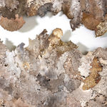 Helen Britton, Cranky Purple Seahorse, 2020