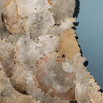 Helen Britton, Cranky Purple Seahorse, 2020