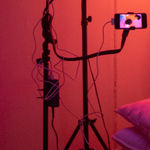 Maria Farrar, Stands Like a Shakuyaku, Sits Like a Botan, Walks Like a Lily, 2025