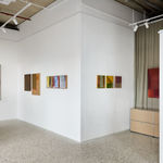 Caroline Collom, The Flowers Caught my Eye