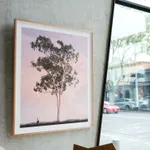 Lindsay Blamey, Morning Tree